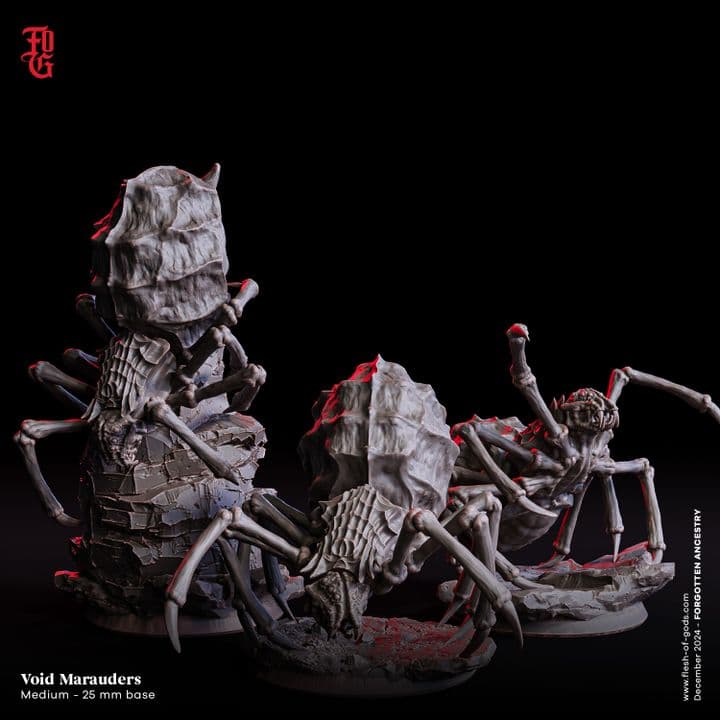 Void Marauders