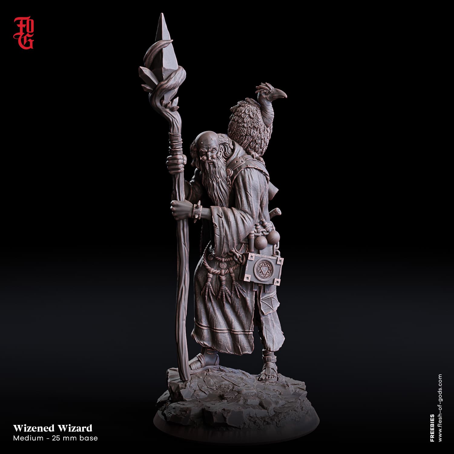 Wizened Sorcerer