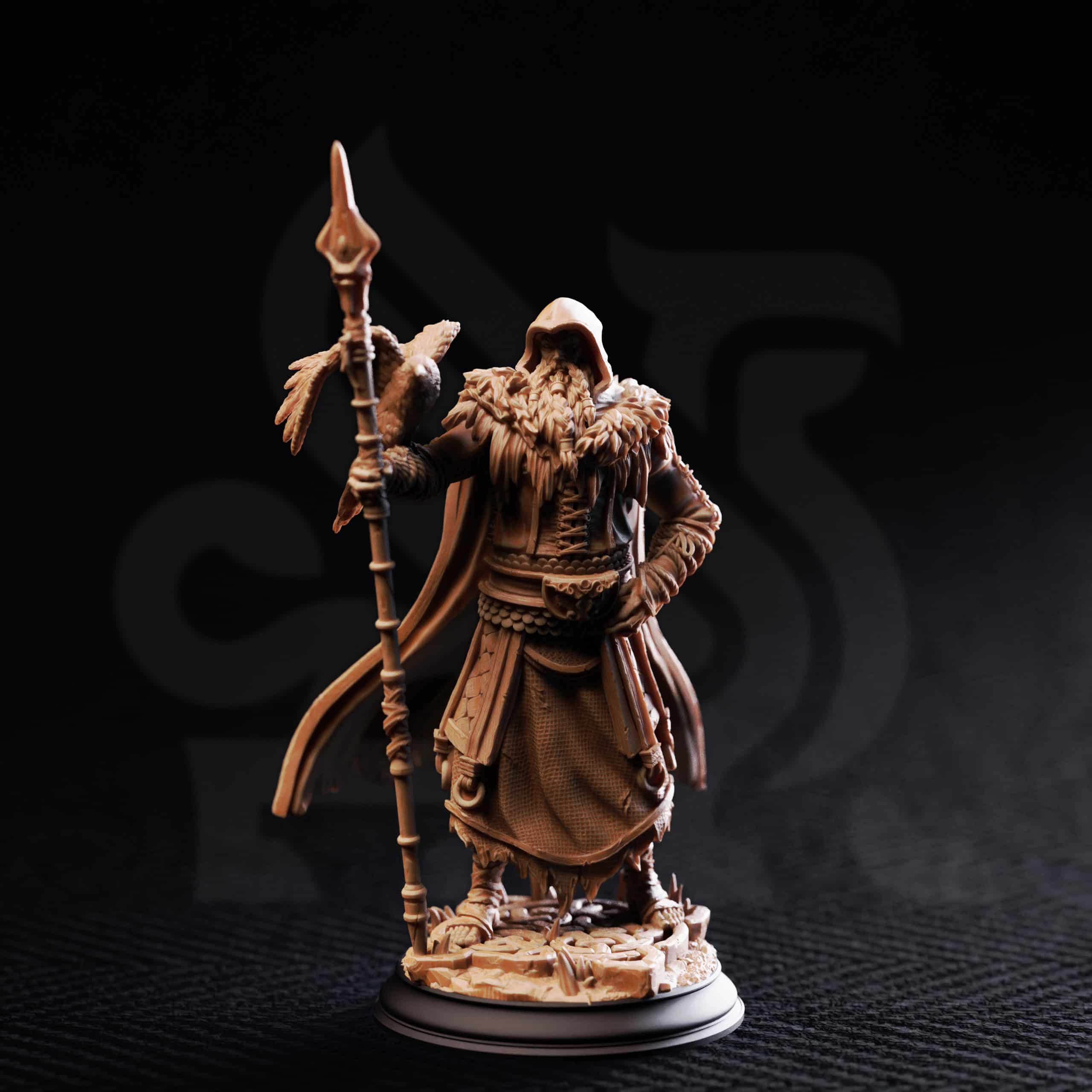 The One Eyed Wanderer